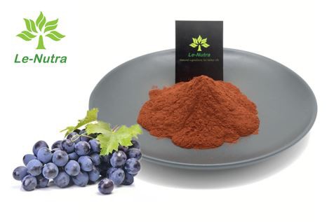 عصاره هسته انگور پروآنتوسیانیدین 95 درصد