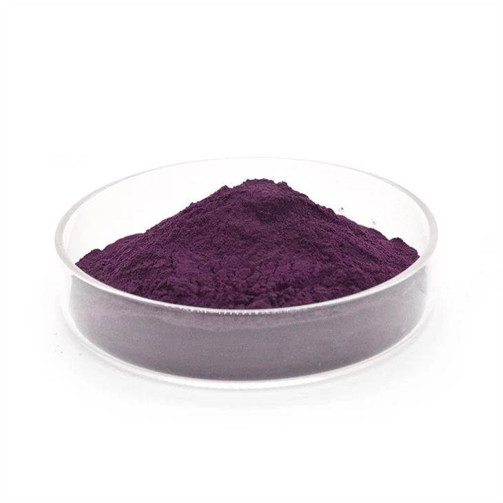 Bilberry Extract powder