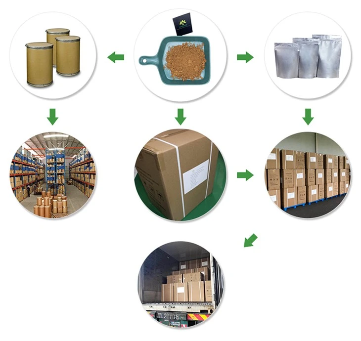Lotus Leaf Powder price