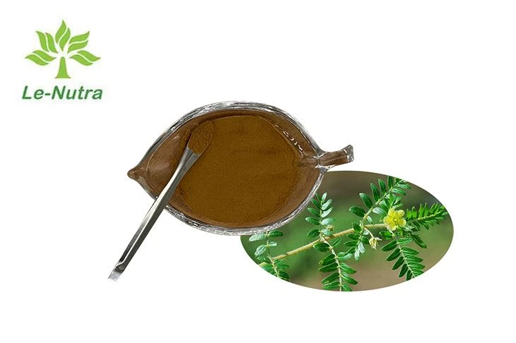 Tribulus Terrestris Extract Powder