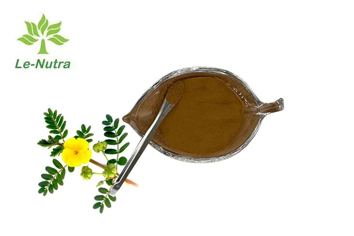 Tribulus Terrestris Fruit Extract